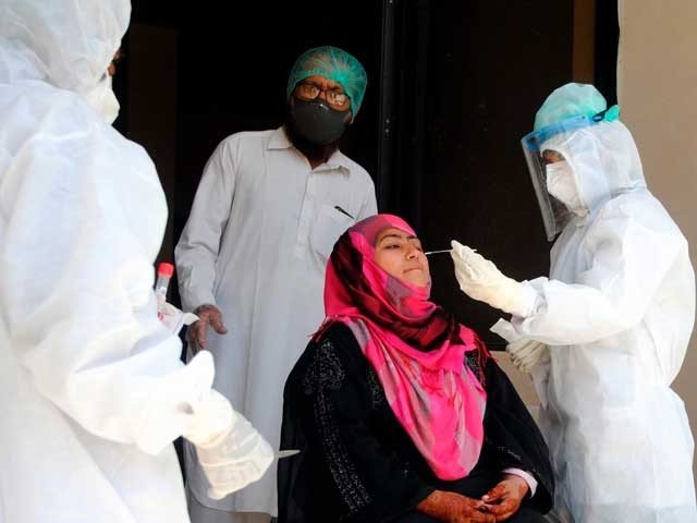 ملک میں کورونا وبا سے مزید 10 مریض جاں بحق، 350 نئے کیسز رپورٹ