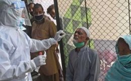 کورونا وبا سے مزید 13 افراد جاں بحق، 961 نئے کیسز رپورٹ