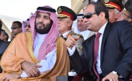 سعودی عرب اور مصر کا خطے کی سلامتی اور استحکام کو مضبوط بنانےکے عزم کا اعادہ