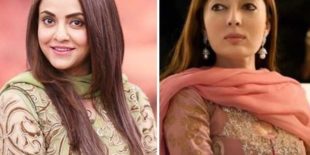 شرمیلا فاروقی کی والدہ کا مذاق اڑانے کے کیس میں نادیہ خان بری
