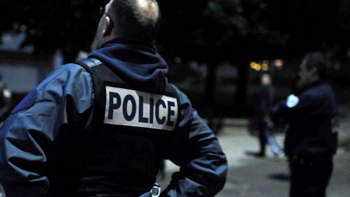 Violent Incident in Paris: Woman Stabbed Multiple Times by Partner