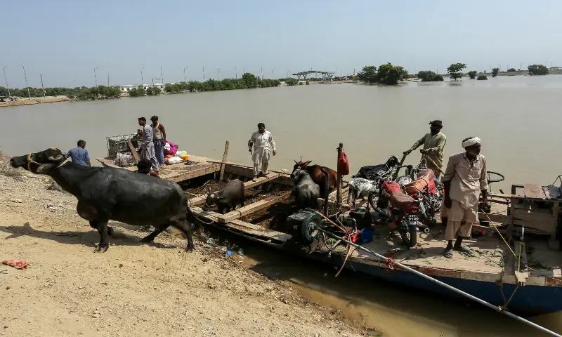 pakistan-floods-wreck-economy-threaten-food-security-and-exports