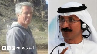 Epstein's 'Massage Girl' in Turkey: DP World Chief Resigns Over Ties