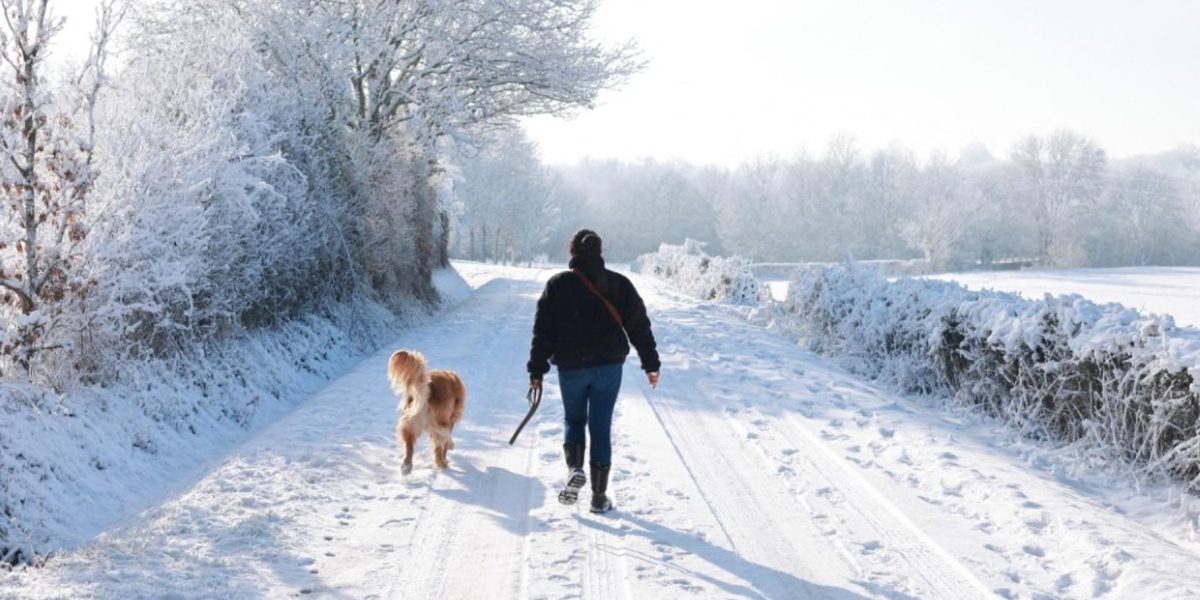 Snowfall Blankets Paris and Northern France, Disrupting Travel
