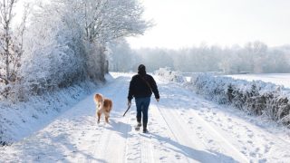 Snowfall Blankets Paris and Northern France, Disrupting Travel