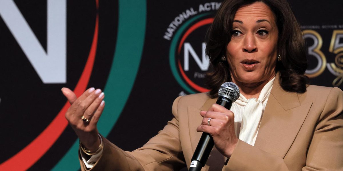 Kamala Harris Eyes 2028 Presidential Run Amid Party Doubts