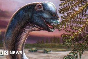Giant Sauropod Dinosaur Identified in Thailand