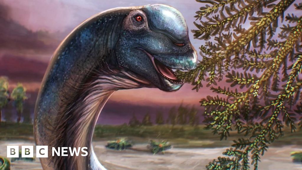 Giant Sauropod Dinosaur Identified in Thailand