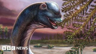 Giant dinosaur Nagatitan identified from Thai fossils