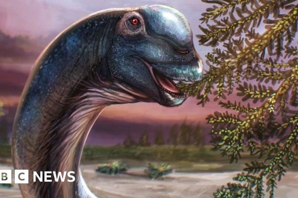 Giant dinosaur Nagatitan identified from Thai fossils