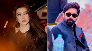 PML-N MPA Booked Under Cyber Law in Actress Harassment Case