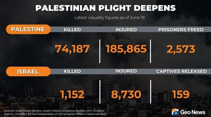 Muslim Nations Back Palestinian State Amid Gaza Crisis