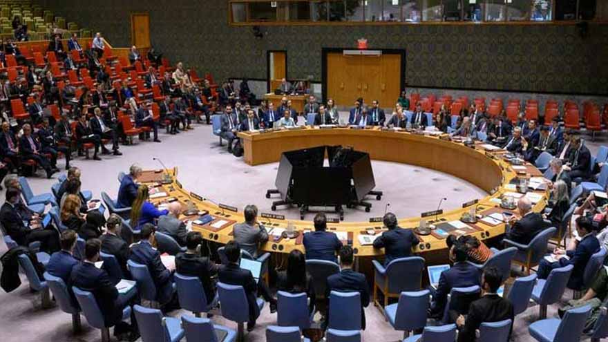 UN Security Council Condemns Swat Suicide Bombing, Urges Justice