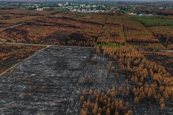 France’s Largest Wildfire Since 1949 Declared Extinguished in Gironde