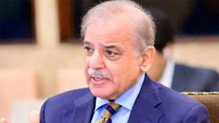 PM Shehbaz Reaffirms Pakistan's Commitment to Democracy