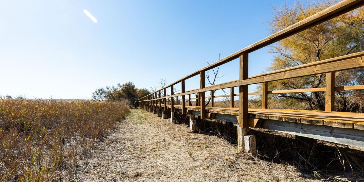 Spain's Stolen Water: 80,000 Hectares Irrigated Illegally, WWF Investigation Reveals