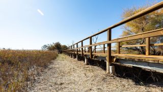 Spain's Stolen Water: 80,000 Hectares Irrigated Illegally, WWF Investigation Reveals