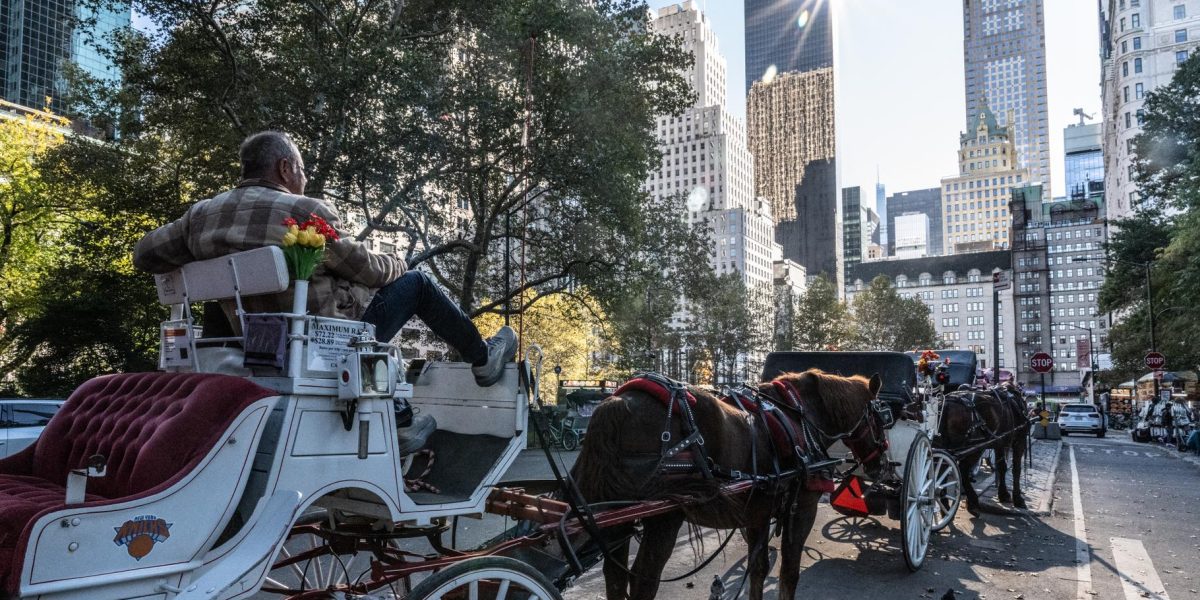 New York Bans Horse-Drawn Carriages in Central Park Starting 2028