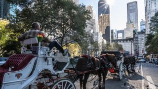 New York Bans Horse-Drawn Carriages in Central Park Starting 2028