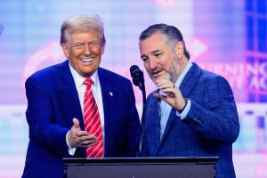 Republicans Bet on Anti-Trans Messaging as Midterms Loom